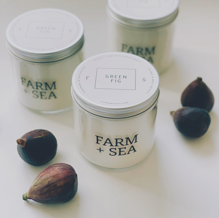 farm + sea soy candle in green fig | piper & chloe